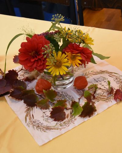 LM Sen III D in Bad Nenndorf