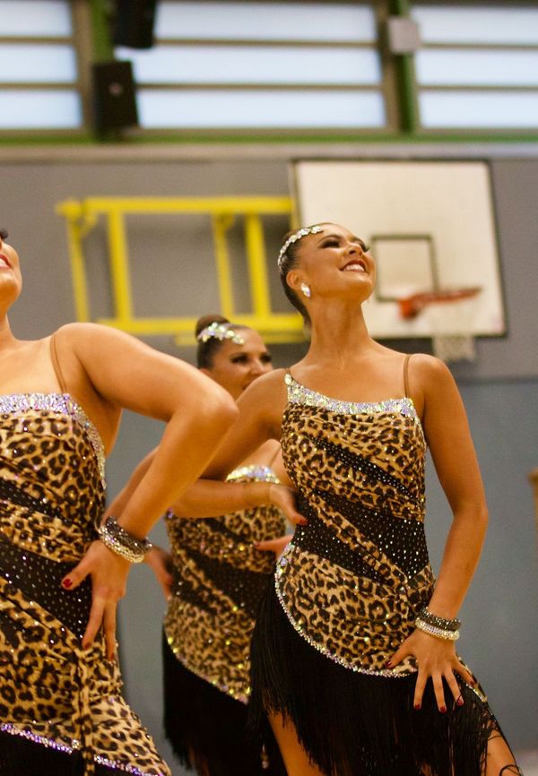 Regionalliga Nord Lateinformationen in Alfeld