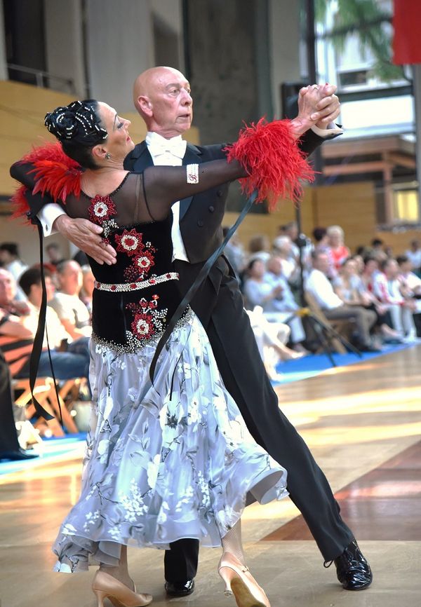 Leistungsstarke 66 - Hatatas Hannover